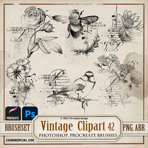 Clipart digital vintage PNG/Pincel de Photoshop ABR/Pincel de Procreate/Pegatina floral botánica imprimible/Transferencia de aves, sello, Ovelray/BR42