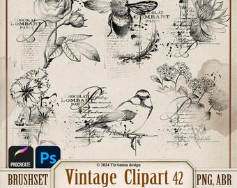 Vintage Digital Clipart PNG| Photoshop Brush ABR| Procreate Brush| Botanical Floral Printable Sticker| Bird Transfer, Stamp, Ovelray|BR42