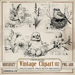 Easter Digital Clipart & Brush Pack| PNG, Stamp Brushset For Procreate, ABR for Photoshop| Vintage Style Art Journal Overlay| BR 102