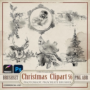 Clipart digitale di Natale vintage PNG/ Procreate Brushset, timbro/ Holiday Photoshop Brush ABR/ Adesivo stampabile, sovrapposizione, trasferimento/ BR56