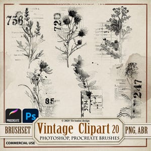 Vintage Blumen Digitale Clipart PNG | Procreate Stempel Brushset| Photoshop Pinsel ABR | Botanischer Transfer, Druckbare Aufkleber, Overlay| BR20