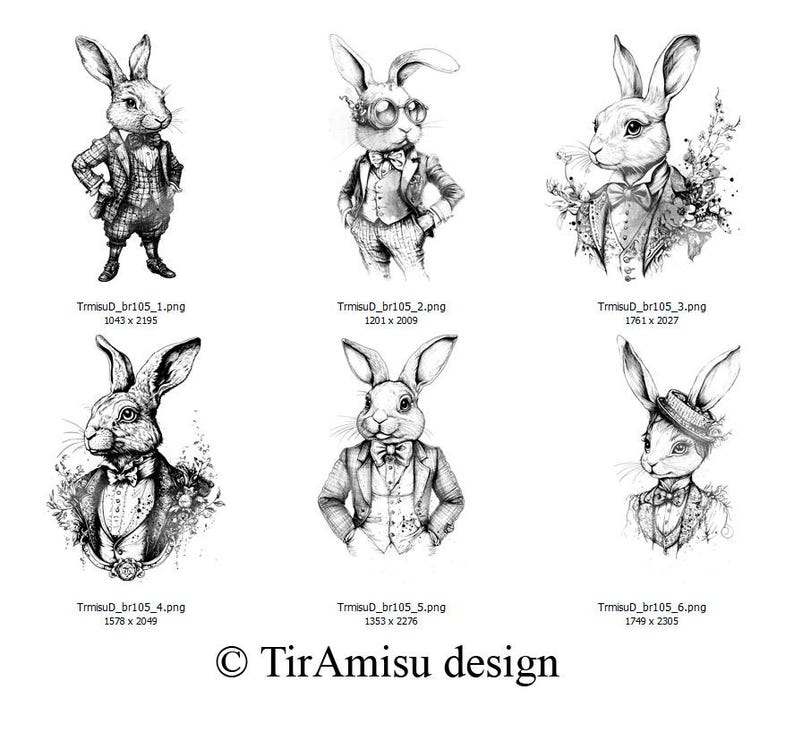 Photo Shop Rabit Vintage Rabbit Digital Clipart PNG| Photoshop Brush ABR| Procreate ...