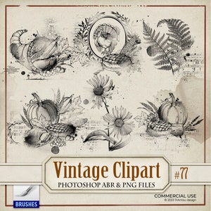 Autumn Vintage  Digital PNG Clipart, Fall Floral Photoshop Brush ABR, Vintage Digital Stamp, Harvest Junk Journal Printable Images, BR77