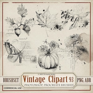 Pacote de Cliparts Digitais e Pincéis de Outono | PNG, Conjunto de Pincéis para Carimbos Procreate. ABR | Sobreposição de Diário de Arte Floral de Outono em Estilo Vintage | BR93