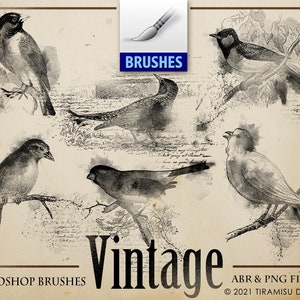 Vintage Vogel Digitale Stempel, Vintage Vogel Photoshop Brushe, Junk Journal Vintage Bird Clipart, Vintage Zwart-Wit Clipart PNG, ABR, BR27