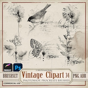 Vintage Blumen Digitale Clipart PNG | Procreate Stempel Brushset| Photoshop Pinsel ABR | Botanische Applikation, Dekorativer Vogel Aufkleber, Overlay| BR34