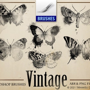 Vintage Butterfly Clipart, Vintage Photoshop Brushes, Vintage Digital Clipart,Transparent Background PNG File, br23