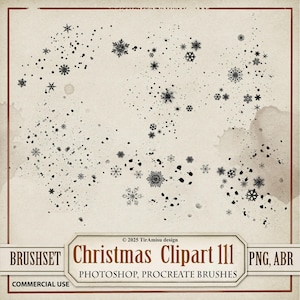 Christmas Snow Digital Clipart & Brush Pack| PNG, Stamp Brushset For Procreate, ABR for Photoshop| Art Journal Overlay, Sticker | BR 111