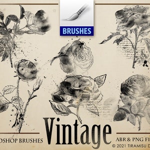 Vintage Floral PNG Clipart,Roses Photoshop Brush ABR File, Floral Digital Stamp, Commercial Use Junk Journal Scrapbook Clipart, BR26