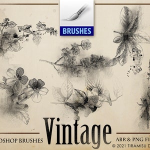 Vintage Floral  PNG Clipart, Photoshop Brush ABR File, Wildflower Digital Stamp, Black And White Junk Journal Scrapbook Clipart, BR5