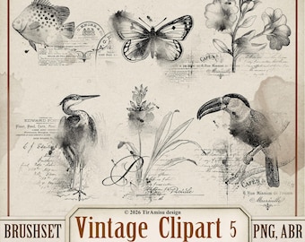 Pacchetto di clipart e pennelli digitali/ PNG, set di pennelli per timbri per Procreate, ABR per Photoshop/ Sovrapposizione per diario artistico in stile vintage estivo, adesivo/ BR50