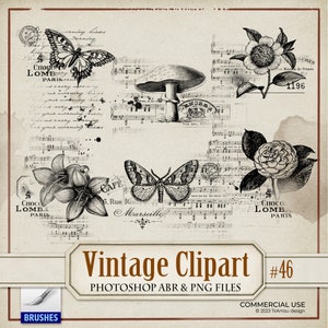 Vintage bloemen PNG clipart, vintage digitale stempel, vintage botanische Photoshop Brush, vintage digitale ongewenste Journal overdracht, PNG, ABR, BR46