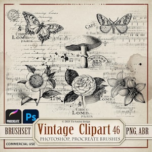 Floral Digital Clipart PNG| Botanical Photoshop ABR, Procreate Stamp Brushes| Printable Sticker, Overlay| BR46