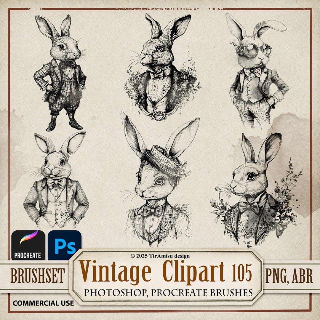 Vintage Rabbit Digital Clipart PNG| Photoshop Brush ABR| Procreate ...