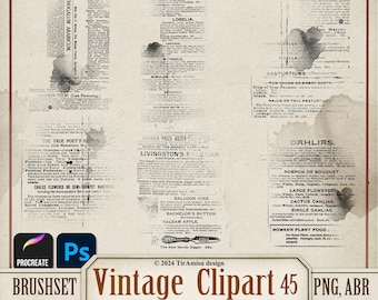Vintage Newspaper Digital PNG Clipart| Procreate Brush Stamp| Photoshop Brush ABR| Printable Junk Journal Overlay, Sticker, Transfer| BR 45