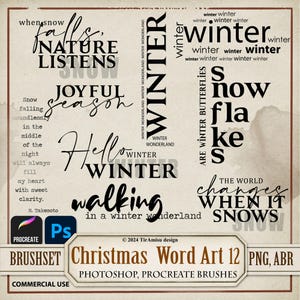 Boże Narodzenie Word Art Cyfrowy PNG Clipart| Zestaw pędzli Procreate| Photoshop Brush ABR| Wydrukowany inspirujący cytat, naklejka, nakładka, znaczek|wa12