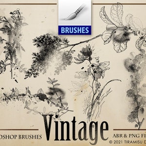 Vintage Floral Digital Stamp, PNG, Photoshop Brush ABR, Vintage Botanical Digital Sticker, Junk Journal Scrapbook Clipart, Uso comercial, BR17