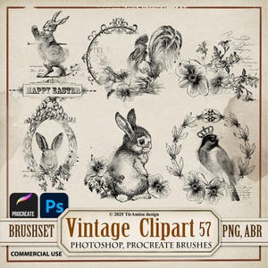 Clipart digitale vintage di Pasqua PNG/ Procreate Stamp Brushset/ Photoshop Brush ABR/ Grafica decoupage stampabile con coniglietto primaverile carino/ br 57