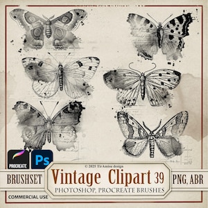 Vintage Butterfly PNG Digital Clipart| Procreate Stamp Brush| Photoshop Brushe ABR| Printable Transfer, Overlay Sticker Commercial Use| BR39