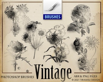 Vintage botanische Clipart, Vintage Photoshop Pinsel, digitaler Vintage Stempel, druckbare Vintage botanische Clipart, PNG-Datei, BR19