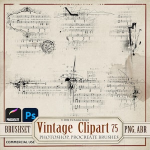 Vintage Notes Digital PNG Clipart| Pincel de carimbo Procreate| Pincel de Photoshop ABR| Adesivo para impressão de diário de lixo, sobreposição, transferência| Br75
