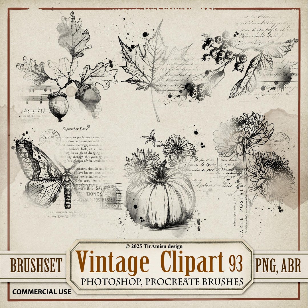 Autumn Digital Clipart & Brush Pack | PNG, Procreate Stamp Brushset ...