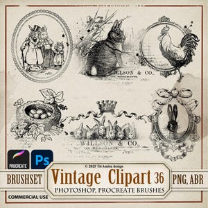 Easter Vintage Digital Clipart PNG| Spring Cute Bunny Photoshop Brush ABR| Procreate Stamp Brushset| Graphic, Transfer, Sticker, Overlay|36