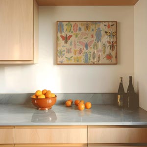 May include: A kitchen countertop with a bowl of oranges, two bottles of wine, and a framed print of colorful insects. The countertop is made of light gray marble with a white background.