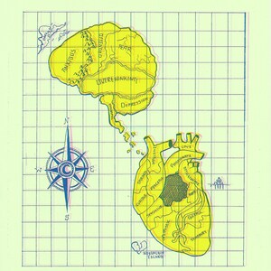 May include: A hand-drawn illustration of a brain and heart with different sections labeled with emotions and feelings. The brain is yellow with green outlines and the heart is yellow with red outlines. The brain is labeled with "anxious", "offended", "fear", "overthinking", and "depression". The heart is labeled with "impulsive", "spirited", "curious", "peaceful", "optimistic", "love", "passionate", "joyful", "grateful", and "stability".