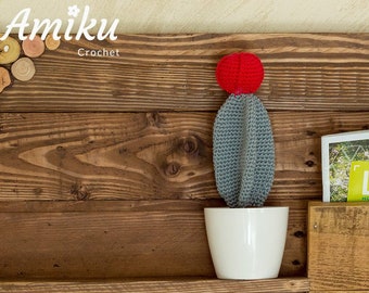 Amigurumi cactus de crochet, Cactus amigurumi con flor, Cactus artificial para decorar, Cactus de ganchillo, Cactus de crochet con maceta