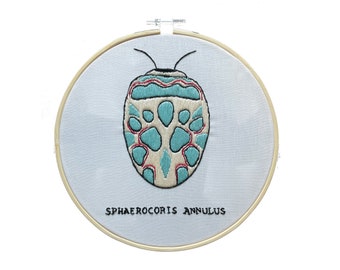 Embroidery kit, beginner embroidery, kit, nature embroidery, Picasso beetle, gift for mom, thinking of you gift,