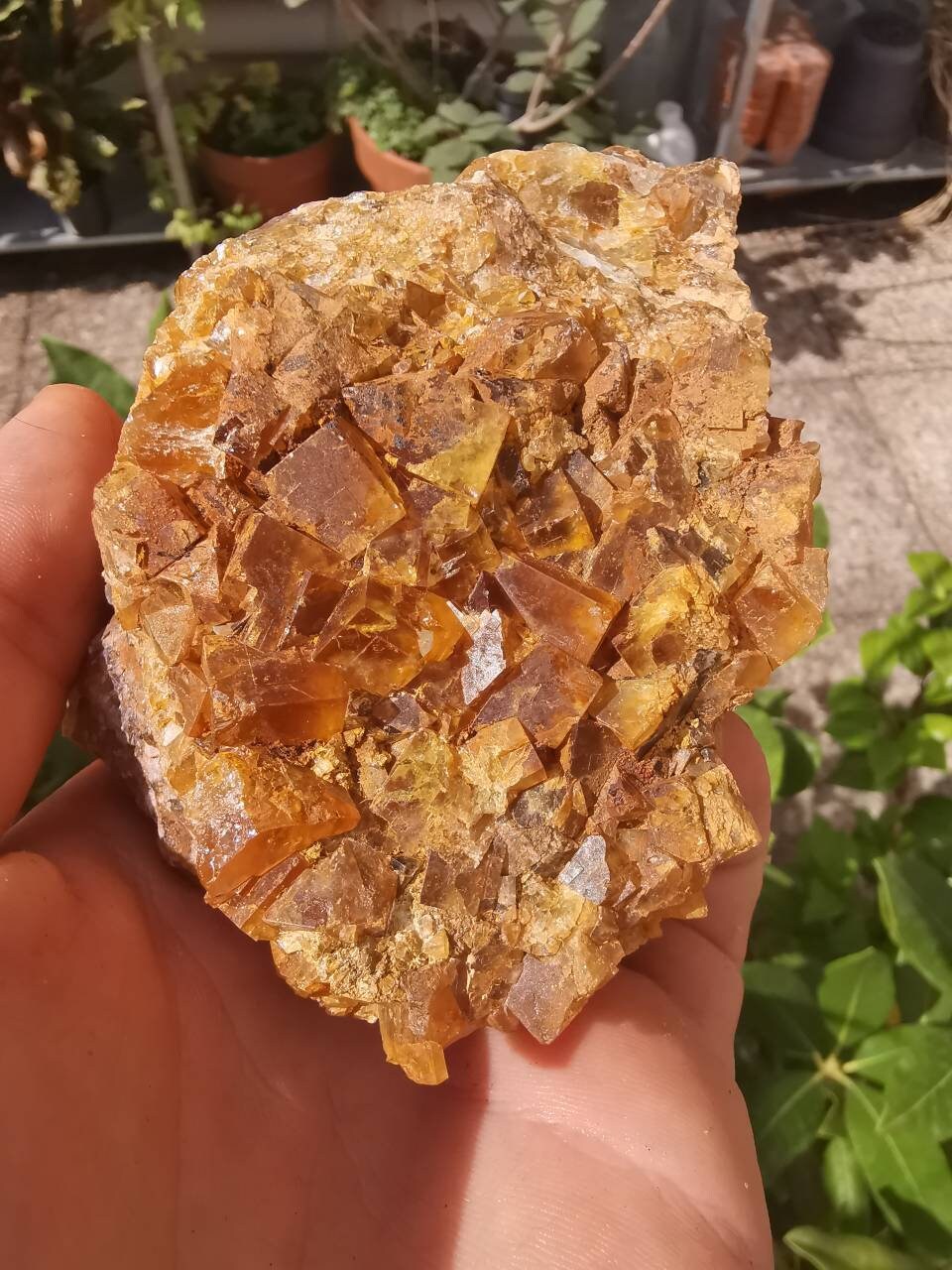 Fluorite Jaune, Massif Central, Minéraux France