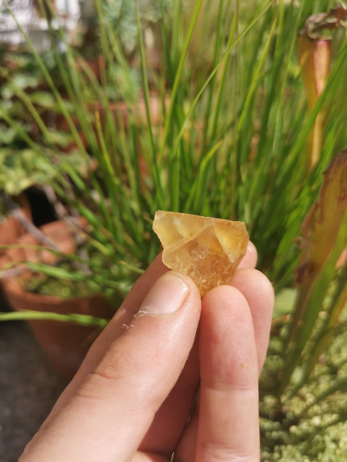 Fluorite, Massif Central, Minéraux France