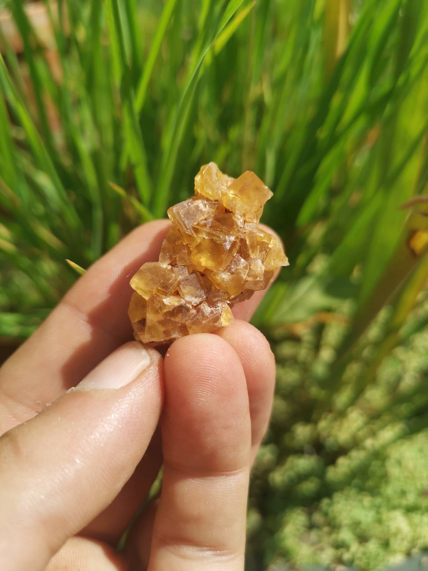 Fluorite, Massif Central, Minéraux France