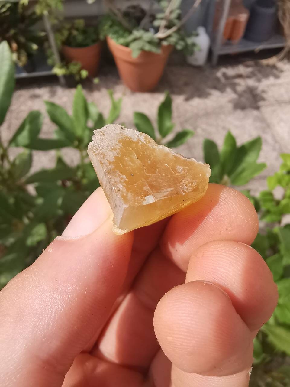 Fluorite Jaune, Massif Central, Minéraux France