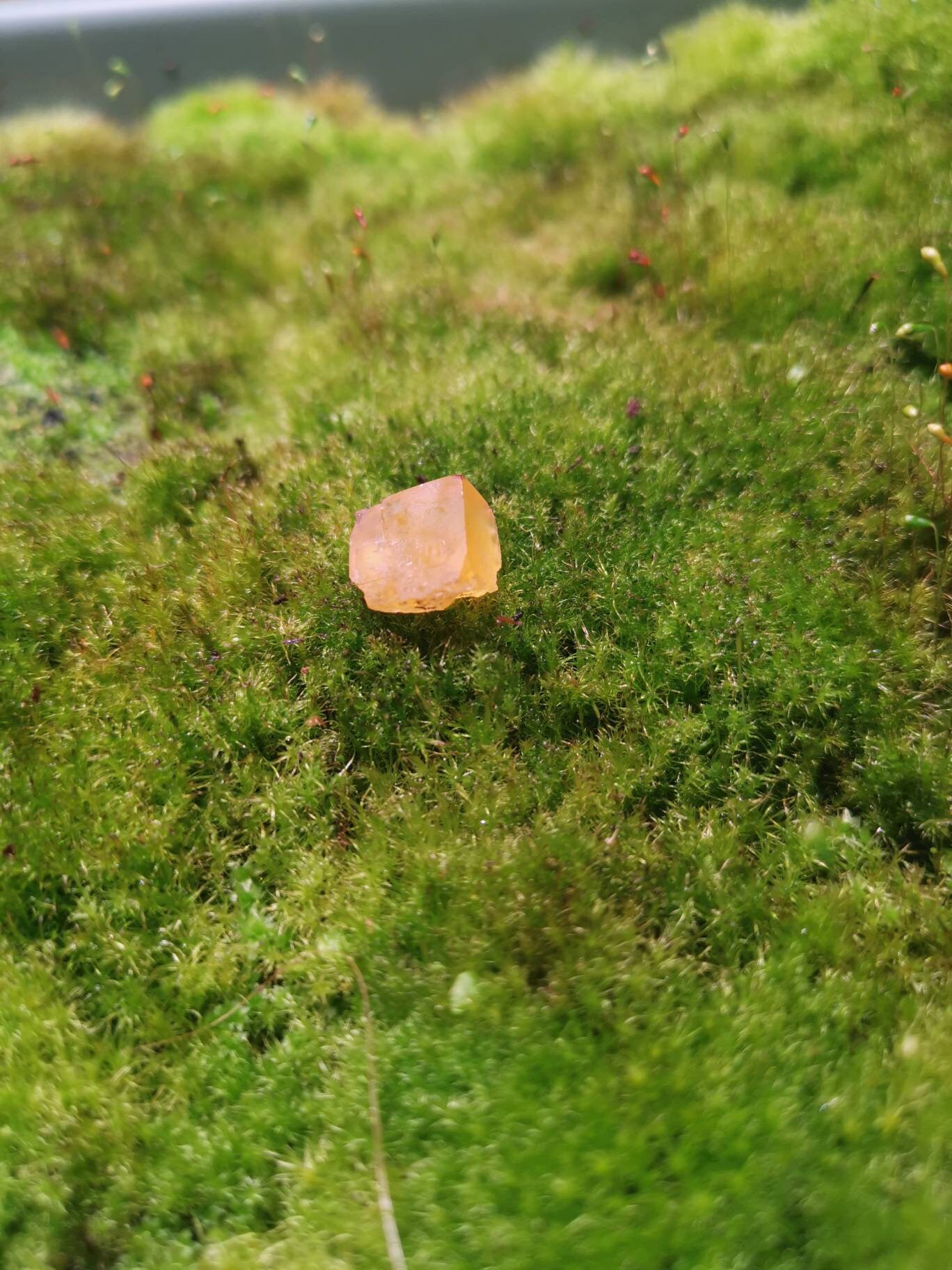 Fluorite, Massif Central, Minéraux France