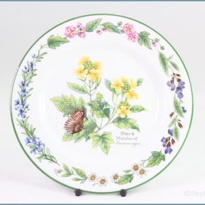 Royal Worcester - Worcester Herbs - 6 3/4&quot; Side Plate