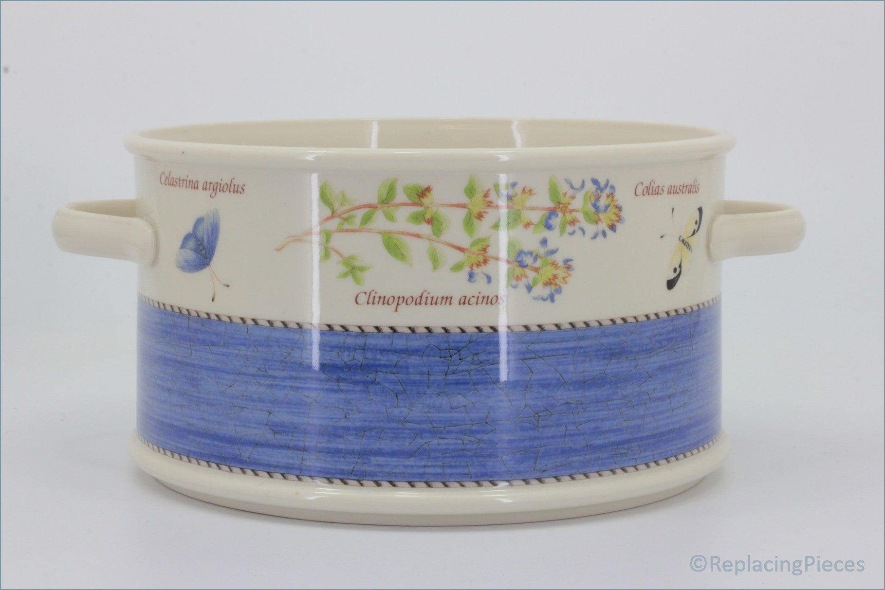 Wedgwood - Sarahs Garden - 7 1/2