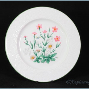 Royal Worcester - Somerset Flowers - 8 3/8&quot; Salad Plate