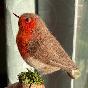 Custom made needlfelted life size Robin