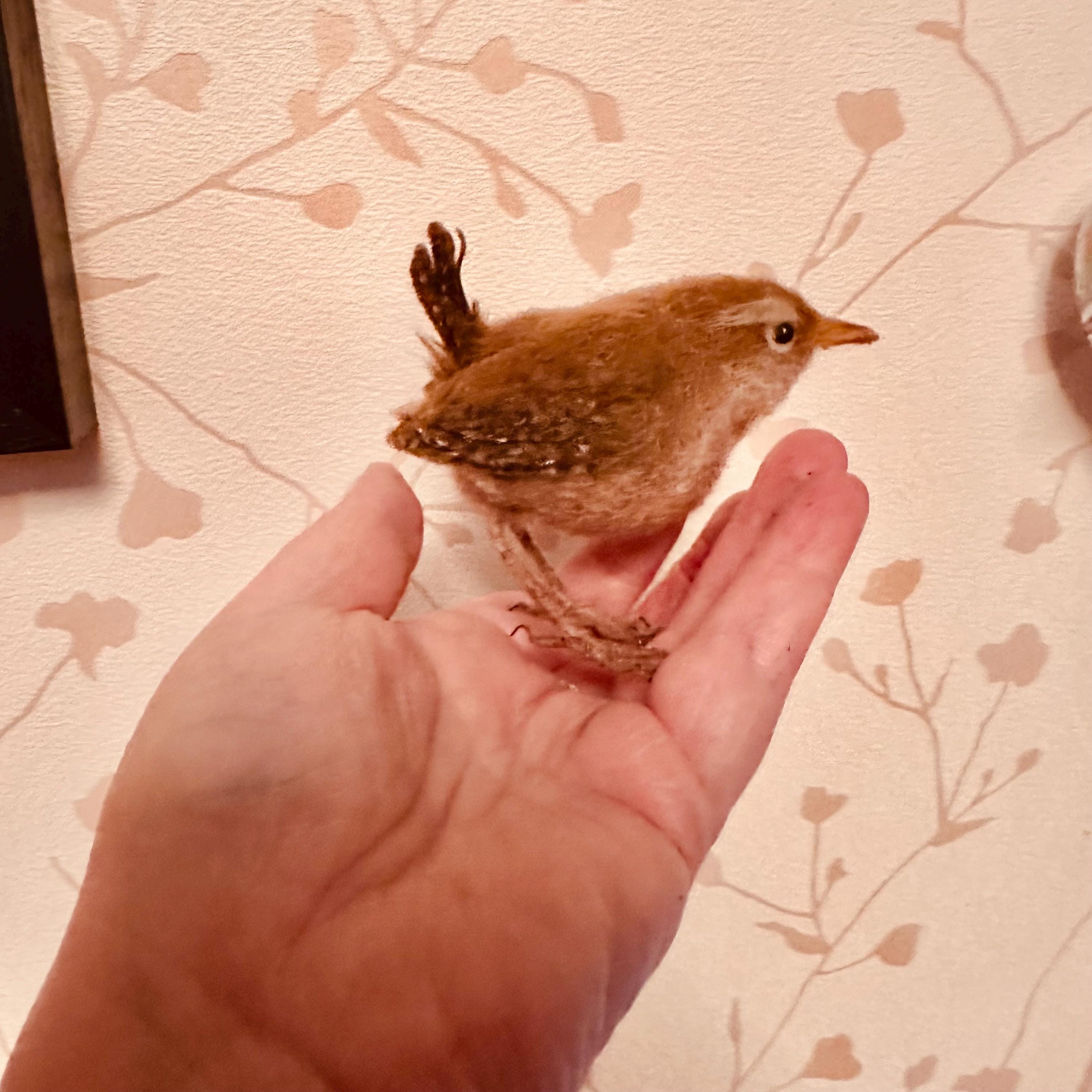 European Wren - needlfelted and life size replica