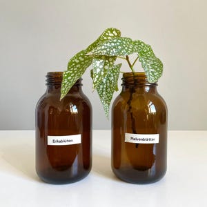 2 x Vintage Apothecary Glass Pharmacy Bottle Glass Jars Laboratory Storage Jar Spice Jar Vase Brown Glass