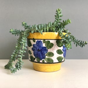 Puede incluir: Una maceta de cerámica amarilla con un diseño floral azul y una planta suculenta verde. La maceta tiene un borde y una base amarillos, con un cuerpo blanco y estampado floral. La planta suculenta tiene tallos verdes.