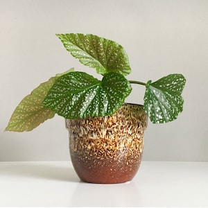 Vintage Ceramic Planter Fat Lava Pot Flower Pot Mid Century Plants WGP Pottery 50s 60s