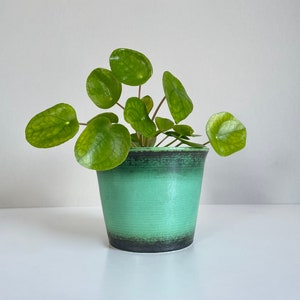 Vintage Ceramic Planter Mint Pot Flower Pot Mid Century Plants WGP Pottery 50s 60s