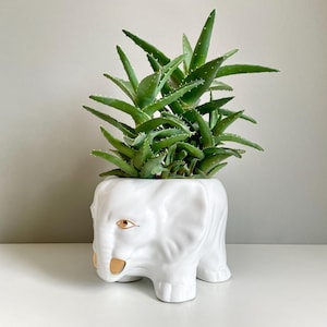 Puede incluir: Una maceta de elefante de cerámica blanca con una planta suculenta verde. La maceta de elefante tiene detalles dorados en los ojos y los colmillos. La planta tiene hojas verdes largas y puntiagudas.