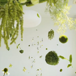 May include: A white ceiling with a white orb hanging from it. Green foliage and flowers are suspended from the ceiling, creating a whimsical and airy atmosphere.