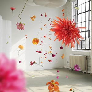 May include: An indoor scene with numerous colourful flowers seemingly floating. The flowers, in shades of pink, orange, red, and yellow, create a lively, artistic arrangement. A large, coral-coloured dahlia is a focal point.