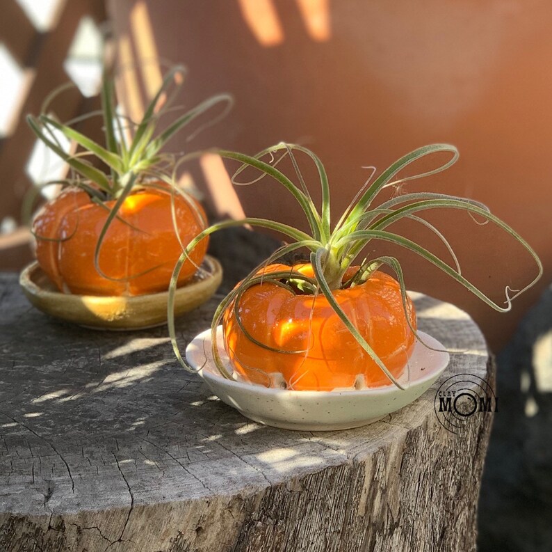 brown dish Pumpkin Planter