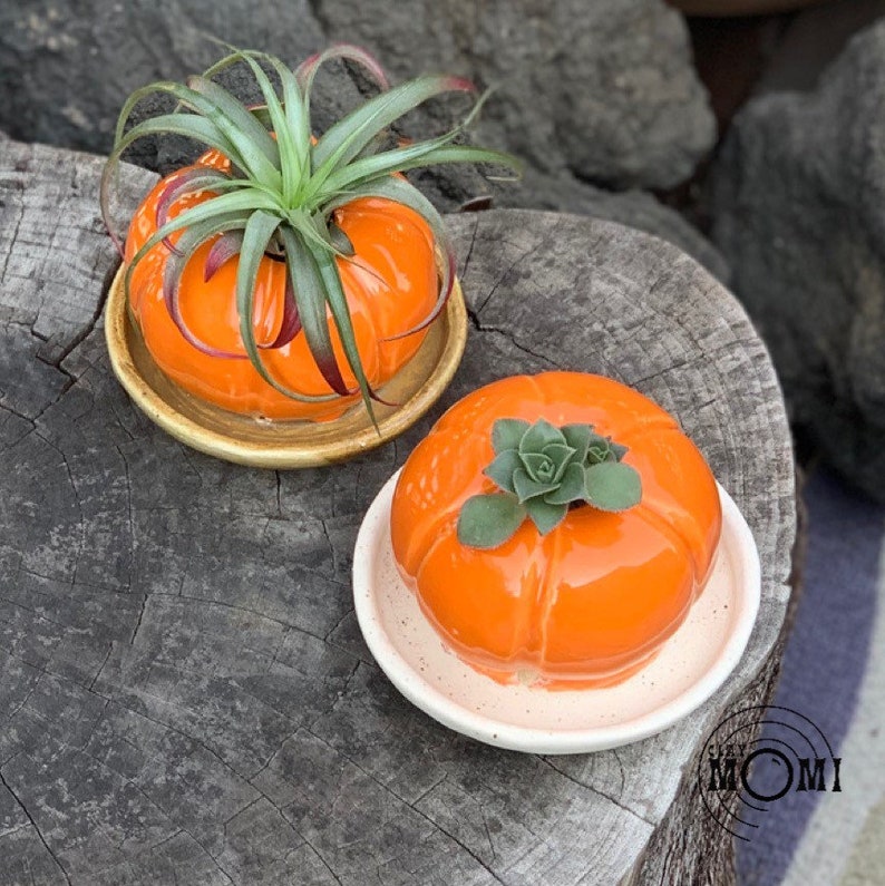 brown dish Pumpkin Planter